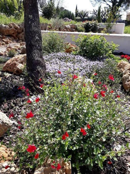 Maison 2 Ou 4 Personnes Jardin Parking Les Amandiers Lorgues Kültér fotó