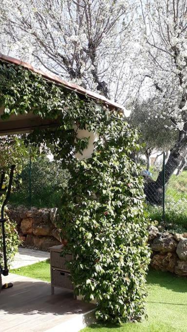 Maison 2 Ou 4 Personnes Jardin Parking Les Amandiers Lorgues Kültér fotó